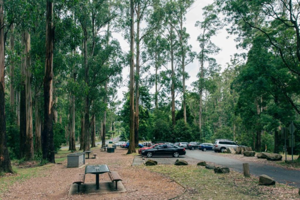 grants picnic ground