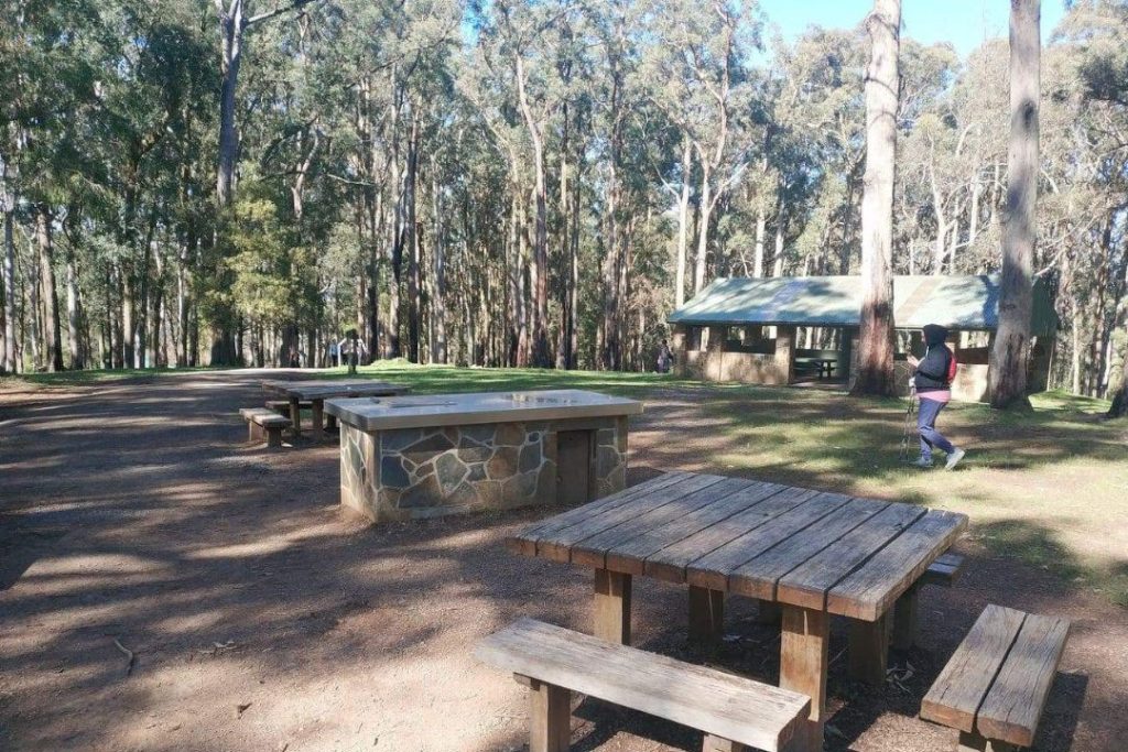 one tree hill picnic ground
