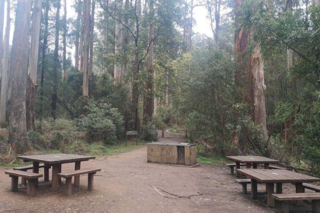 sherbrooke picnic ground