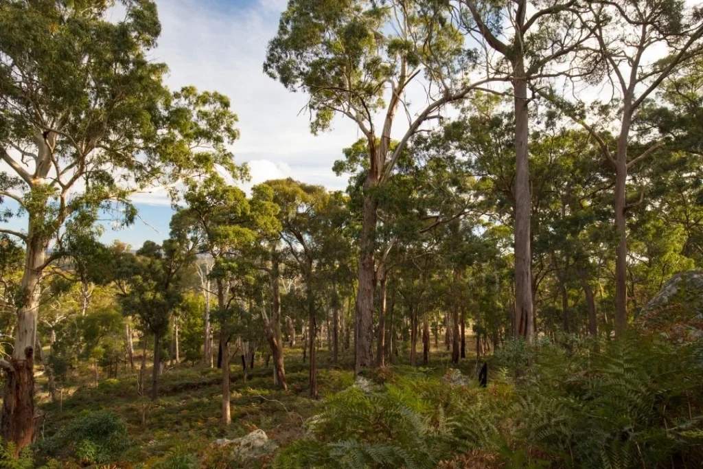 Hanging Rock in Macedon Ranges